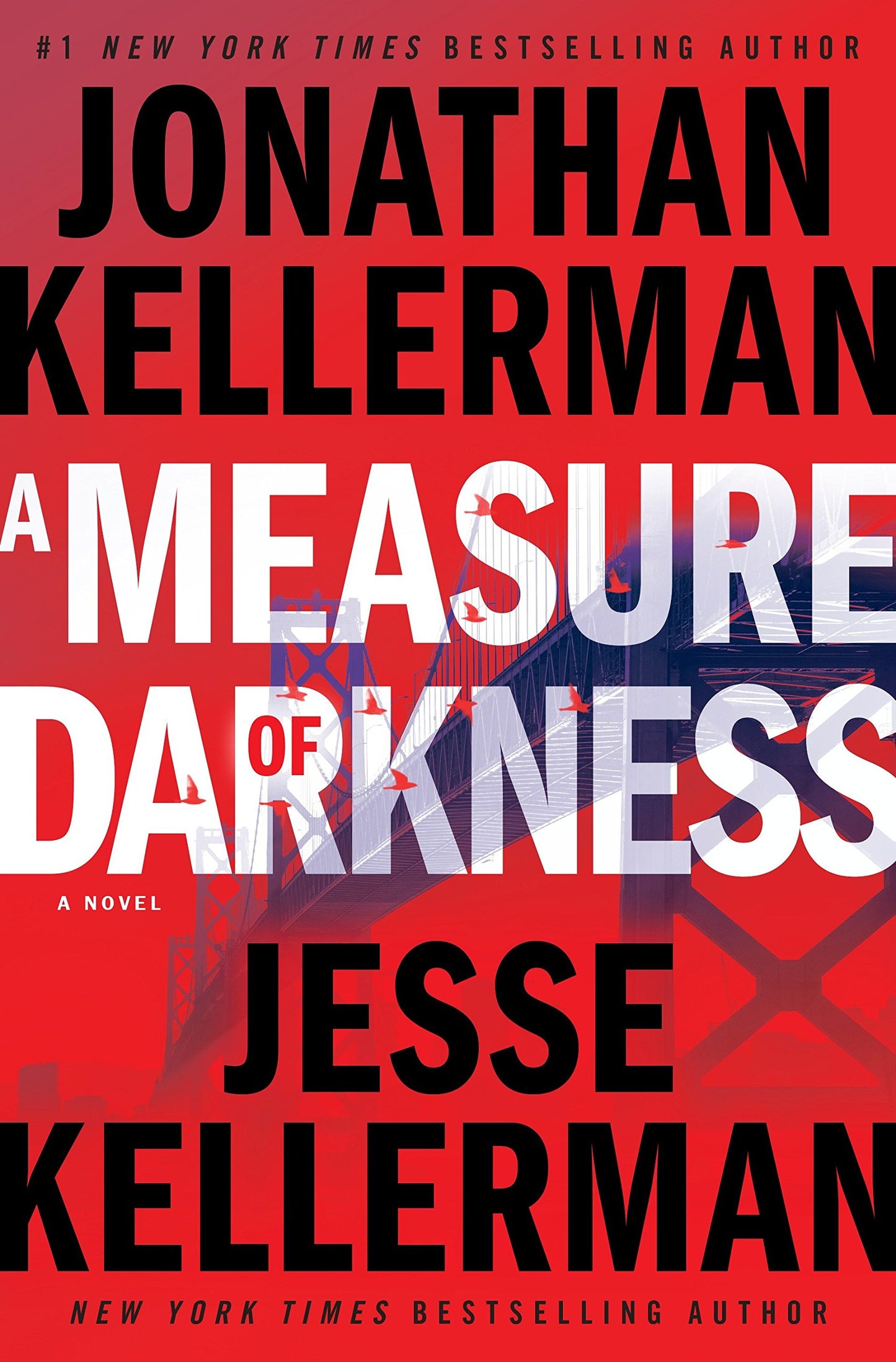 A Measure of Darkness: A Novel (Hardcover)